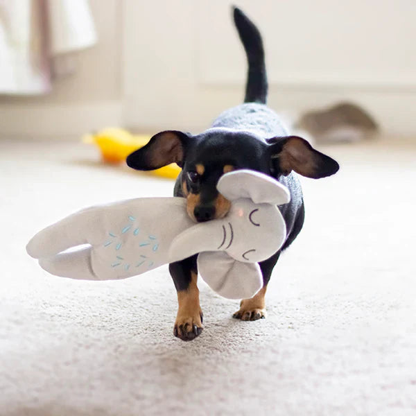 Pet Toys