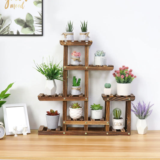 Multi-Tiered Succulent & Flower Display Rack